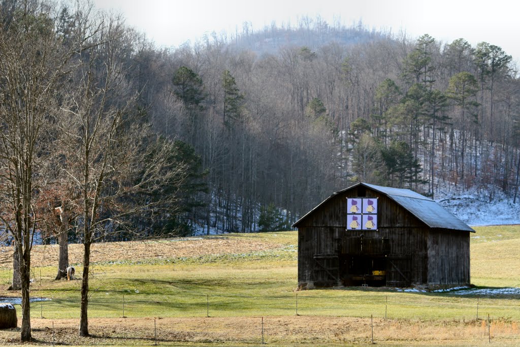 Quilt Barn - along US 25E by Michael Lowe