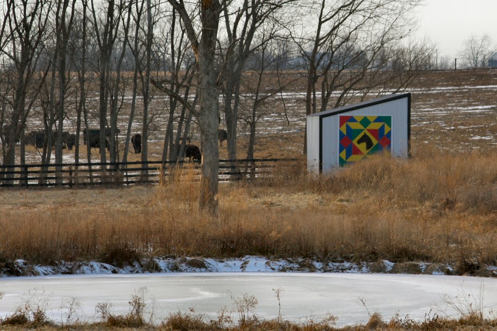 Quilt Barn - along Duvall Station Road by HerrWilli