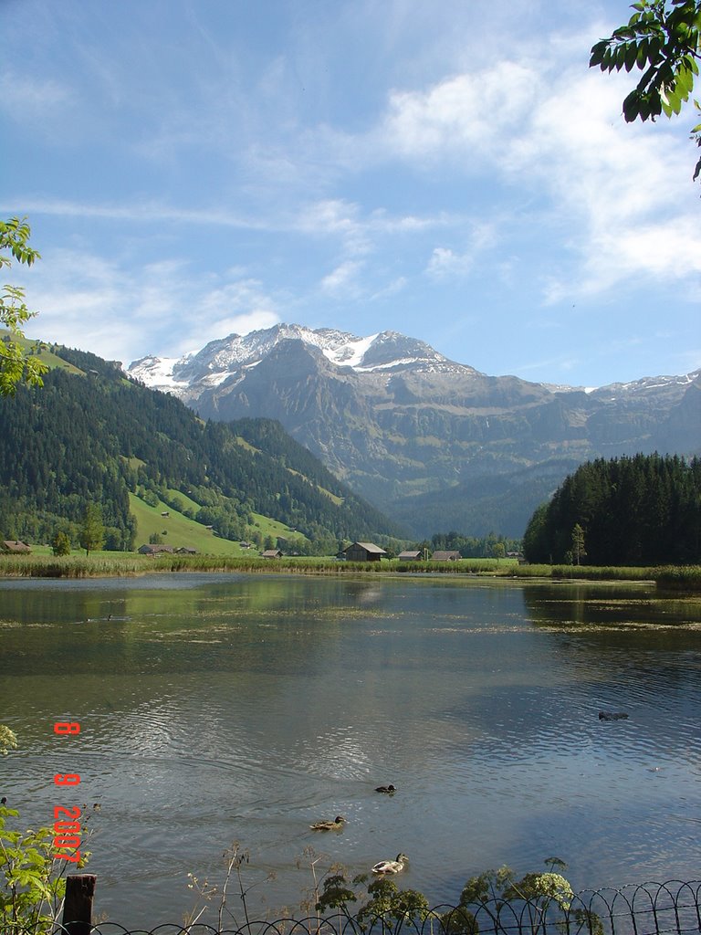 Lenk see by gert-aartselaar