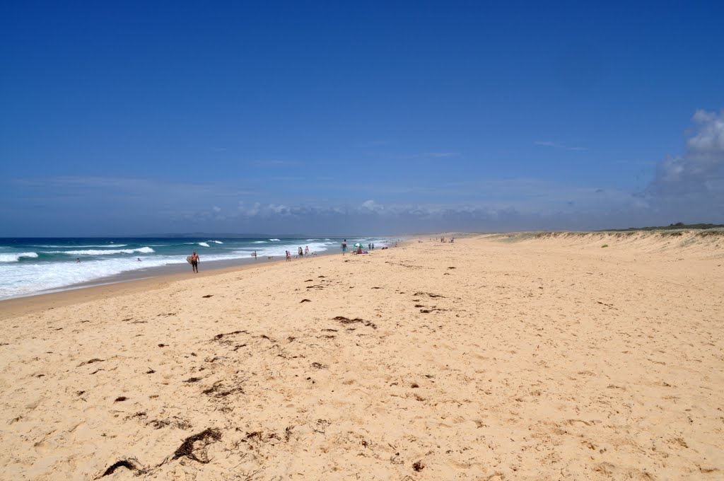 Redhead Beach- a dog's allowed playground by MalcolmB