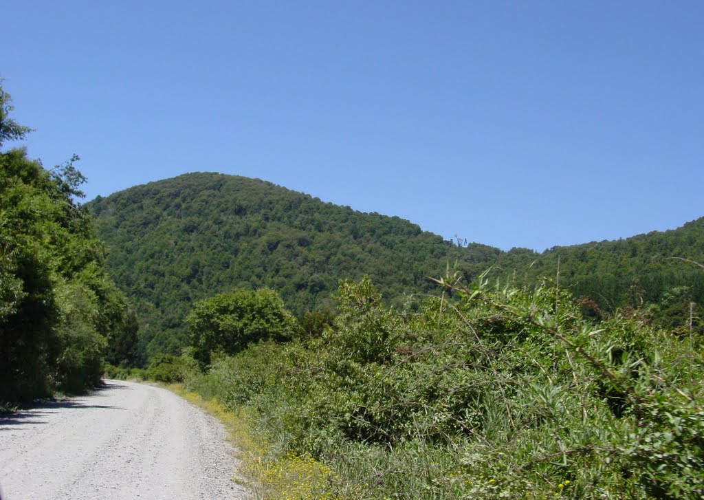 Camino por el valle del Caramávida, Ruta P-510, km 8 aprox. by Juan Tolosa