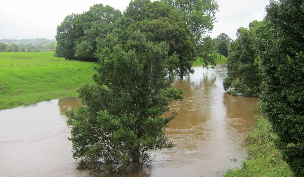 Coopers Creek @ Corndale by heavylambs