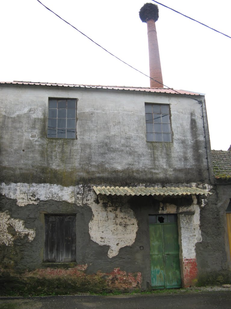 Cebolais de Cima - Pavilhão Industrial by Cebolais de Cima