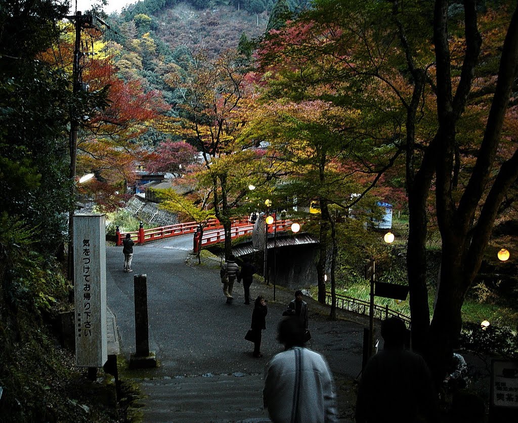 京都 高雄山 清滝川 by Percy Tai  漆園童