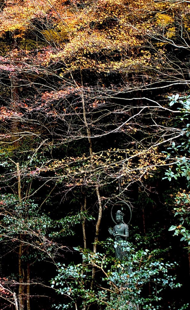 京都 高雄山 高山寺 開山堂 by Percy Tai  漆園童