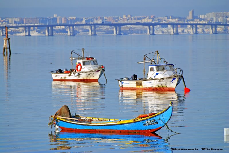 Rio Tejo/Alcochete by Fernando Ribeiro