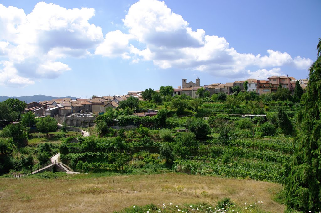 Fabrizia: Panorama - Calabria - Italia - 2009 - 155 by Italo Carè