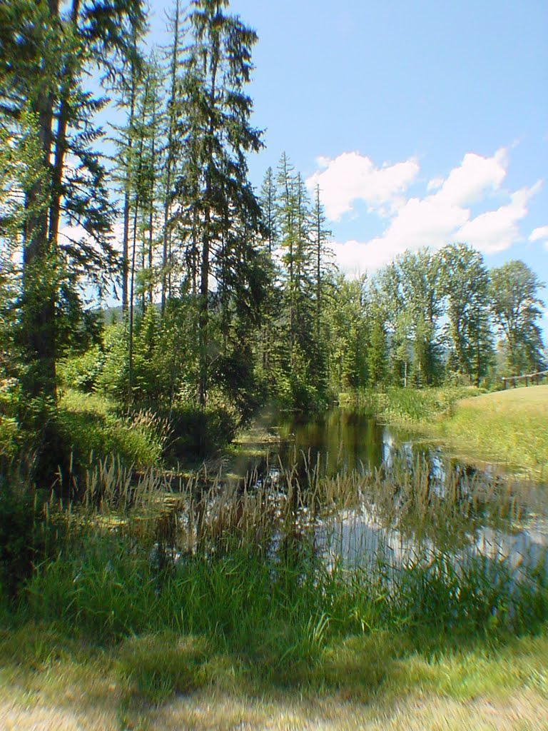 Childs Road, Trout Creek, Montana by Laurie7120