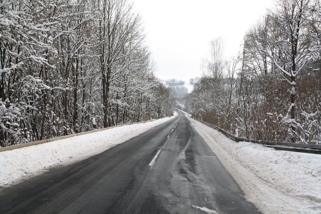 Straße Güntersleben - Rimpar by Raimund Beilicke