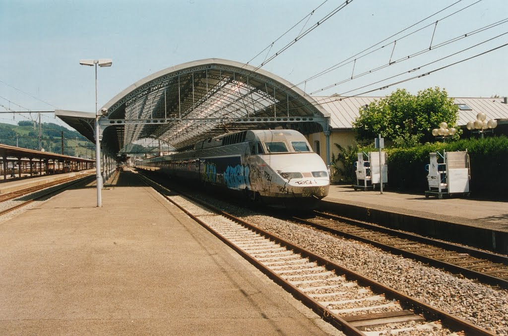 LOURDES HBF .. zogaar de tgv is hier bekliederd .... by walterskrutser