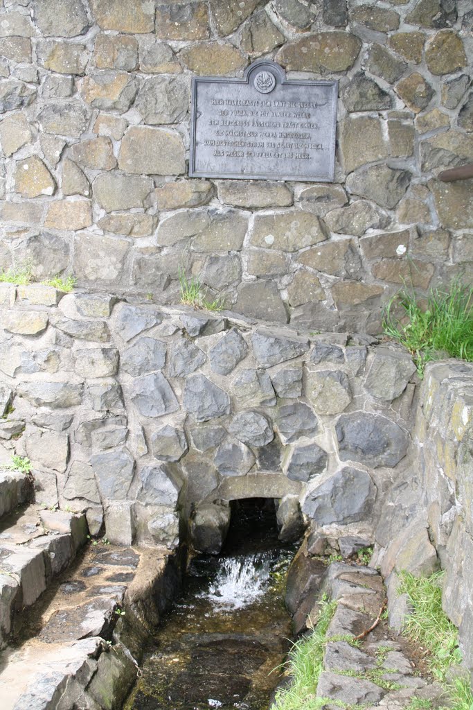 Wasserkuppe - Quelle der Fulda by Raimund Beilicke