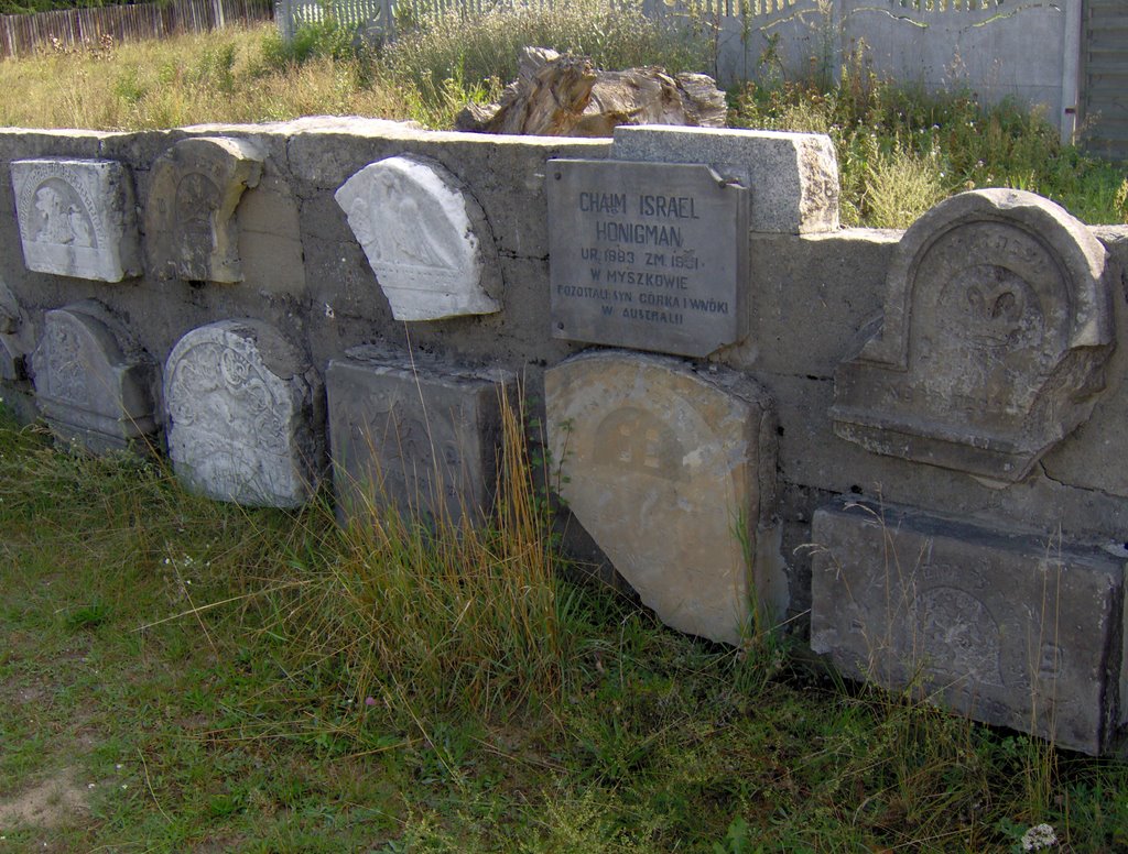 Old Jewish Kirkut in Żarki by piotr tamowicz