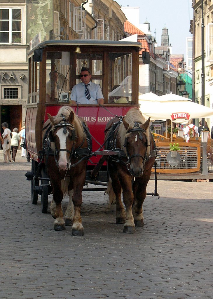 Omnibus (horse-drawn bus) still working by dbsfemino