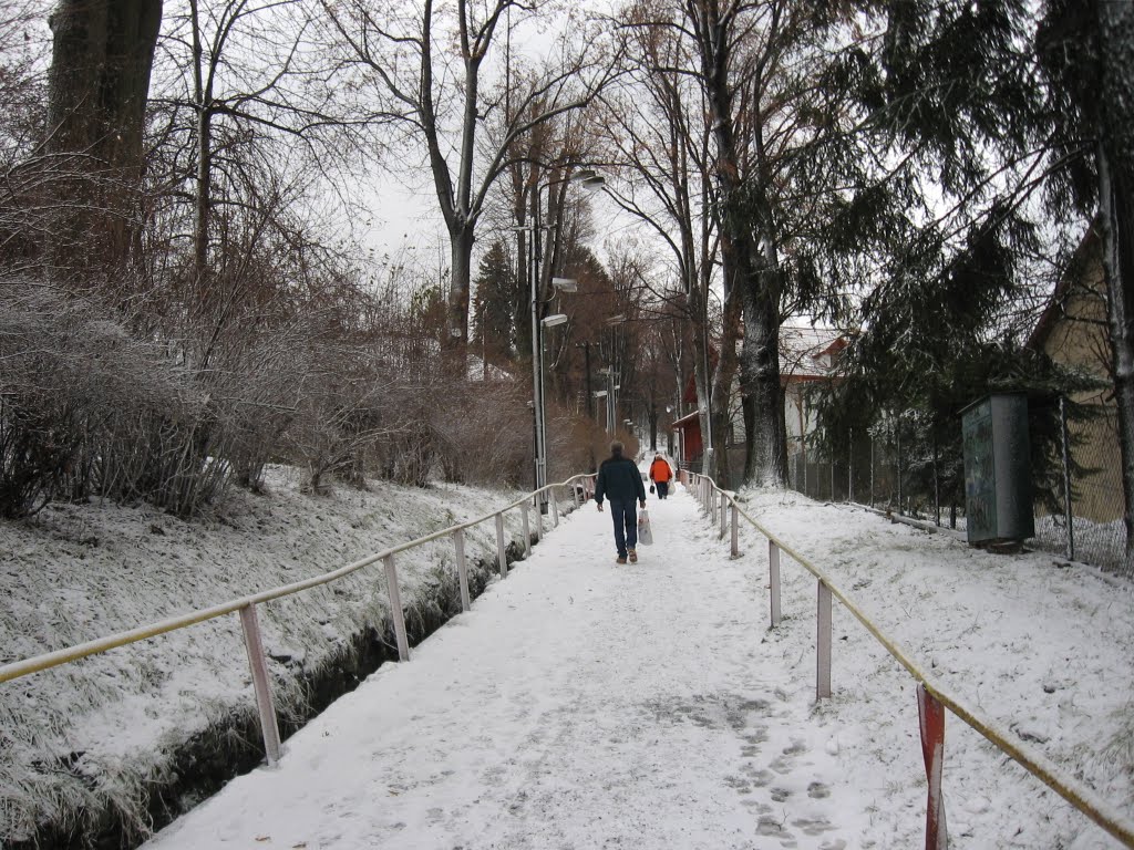 Going to the railway station by i.bulyha