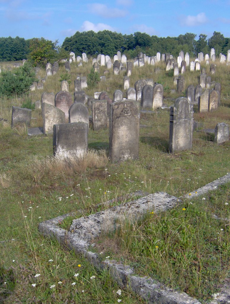 Old Jewish Kirkut (at Kierkowo) in Żarki by piotr tamowicz