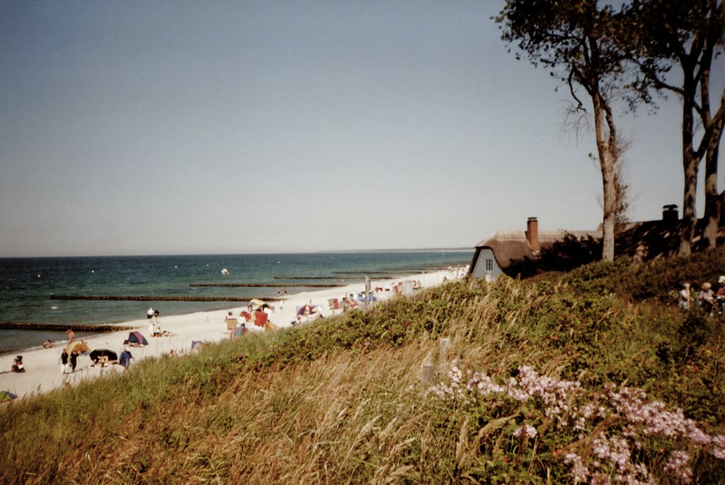 Ahrenshoop, Germany by Hanni Ball