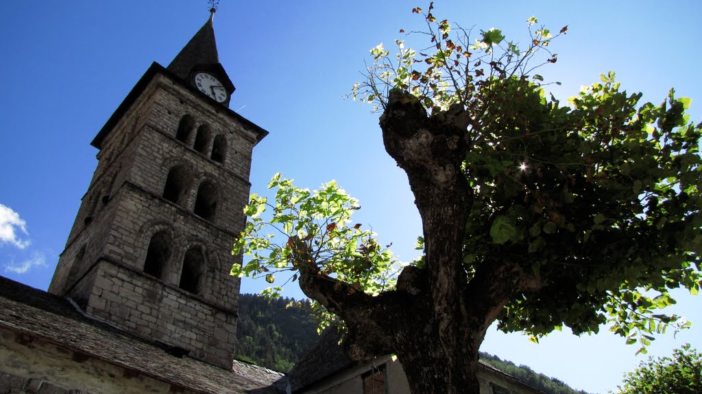 ARBRE AMB GANA by josep vericat