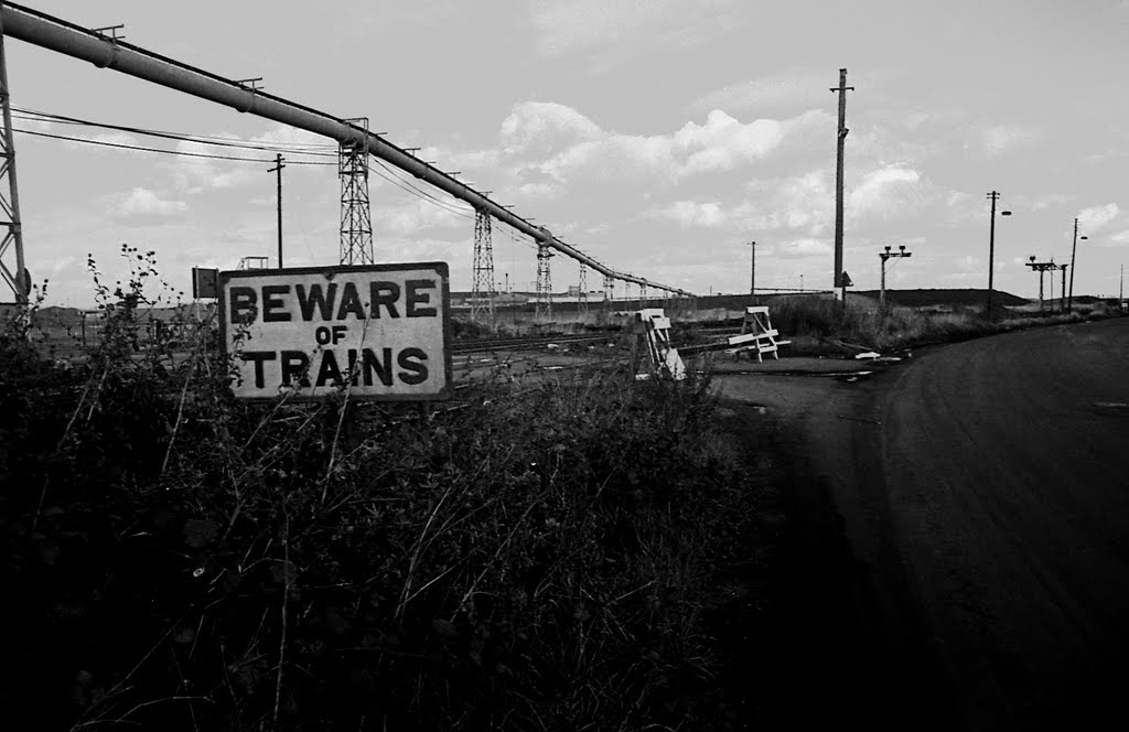 Beware of trains - cardiff docks - 1981 by fat-freddies-cat