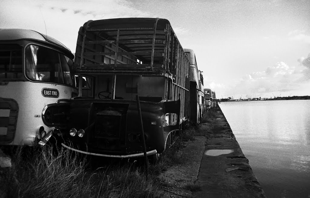 Bus graveyard - atlantic wharf - 1981 by fat-freddies-cat