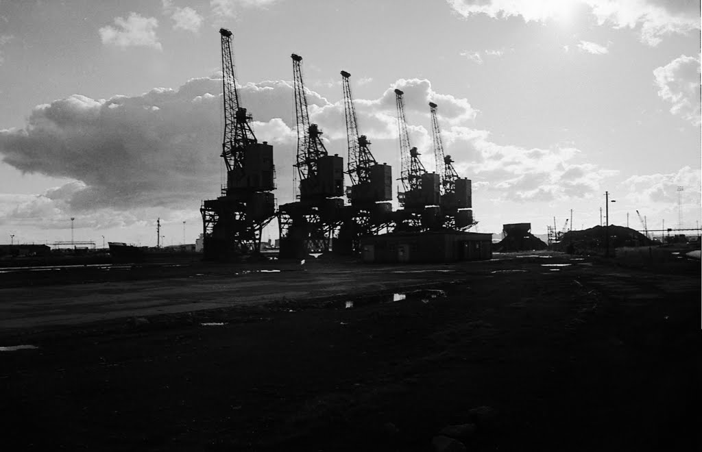 Five cranes - atlantic wharf [still in use]1981 by fat-freddies-cat