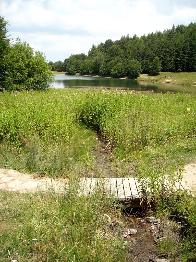 Dove nasce il lago / 2010 by Laura Oviedo