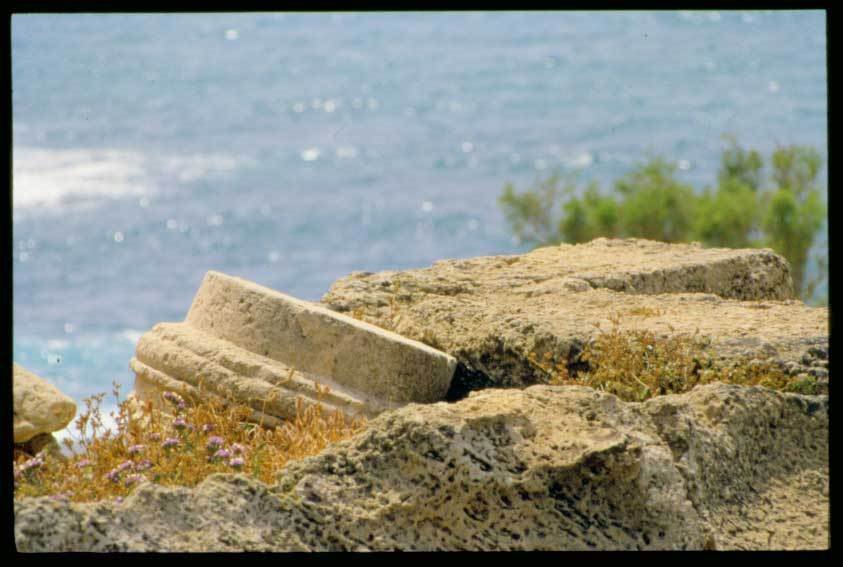 Roman column base by Scott Beach