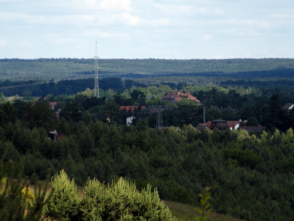 Im Tal von Wald umgeben - Altdöbern by Andreas Rusch