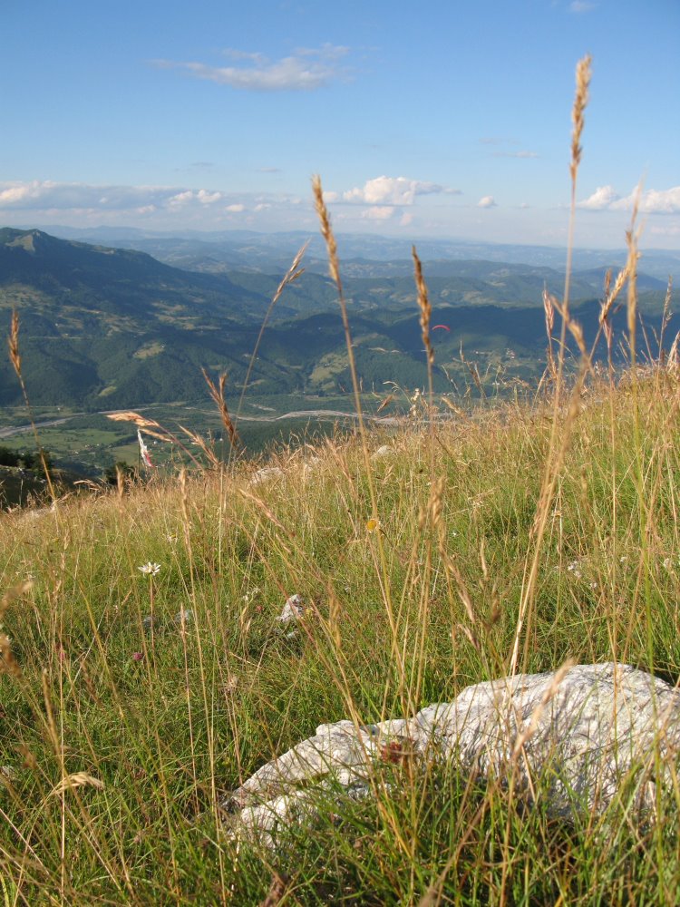 Paragliding in Mojkovac by Ivan Martinetti