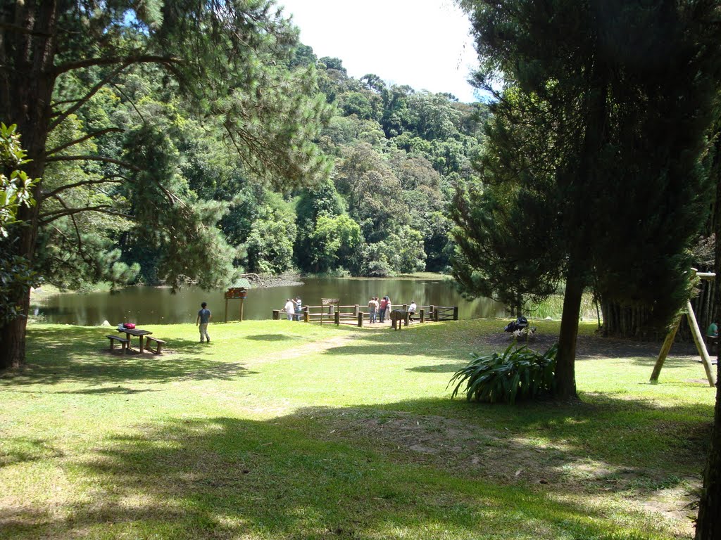 Parque da Cantareira by Marcelo Maximiano