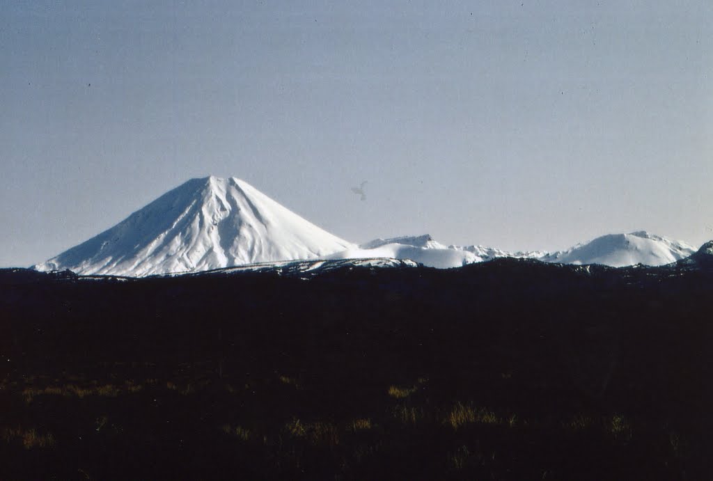 FOTOGALERIE ROLF ZIMS: 1992 Neuseeland (Nordinsel) by Fotogalerie-Rolf-Zims