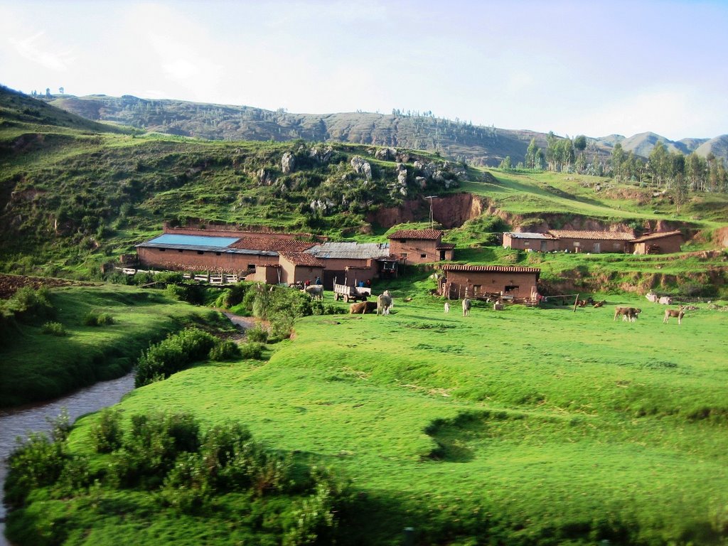 Peruvian Altiplano by Ron Miksha