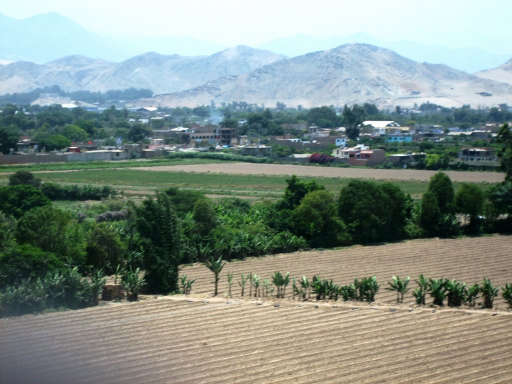 Irrigated Gardens beside Pachucamac's Sun Temple by Miksha