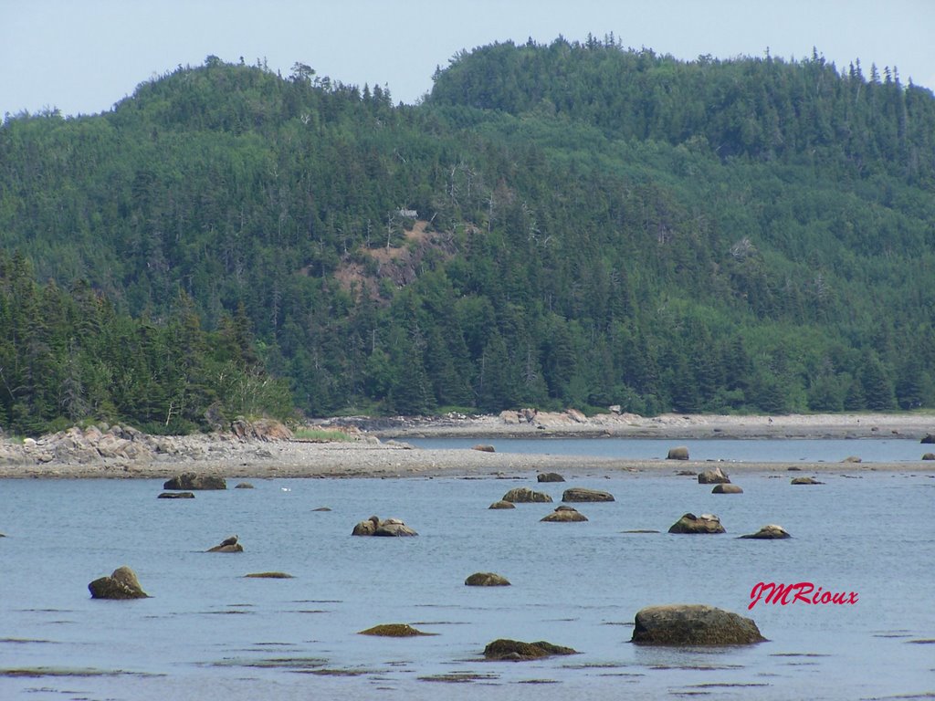 Parc du Bic 5 by Jean-Marc Rioux