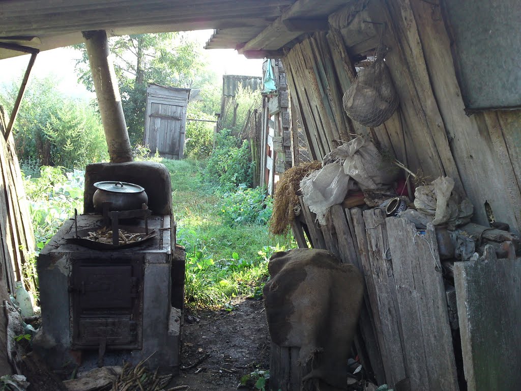 Чернівецька область, Кельменецький район, село Подвір'ївка by Крайній Олександр