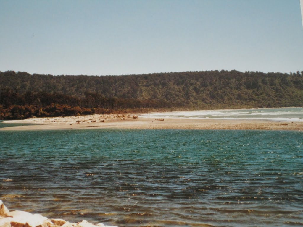 Bruce Bay 7886, New Zealand by kontra1