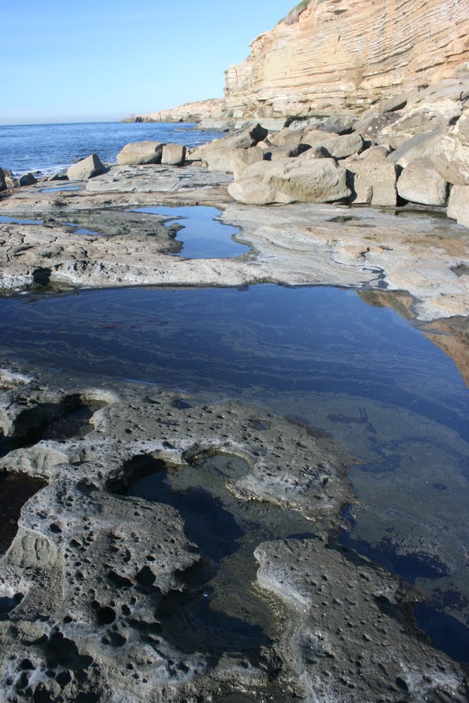 Sunset Cliffs, January 2011 by Kevin.Daniels