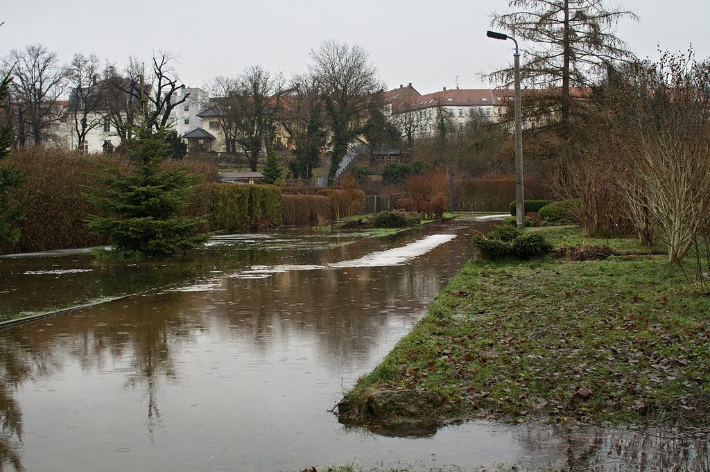 Gärten unter Wasser by Appaloosa_LE