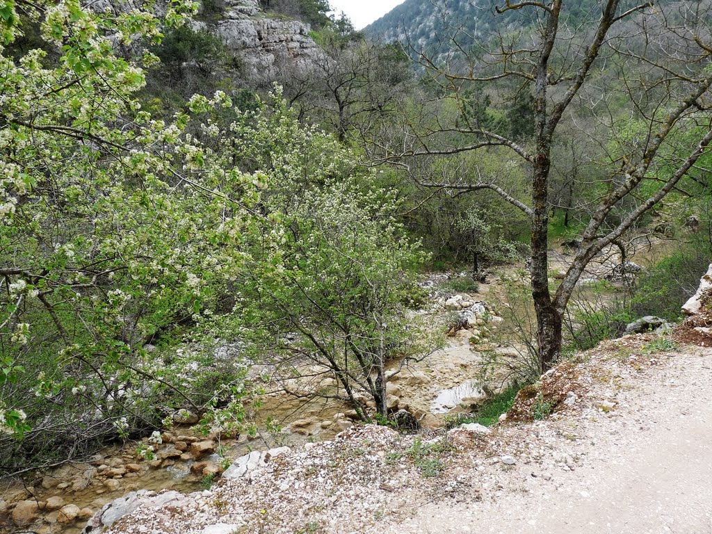 Крым. Возле Скельской пещеры. Crimea. Near the Scales cave by Dmitry Lysyi (diklys…