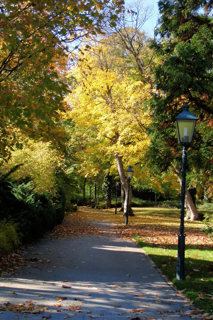 Baden - Rosarium by e.polska