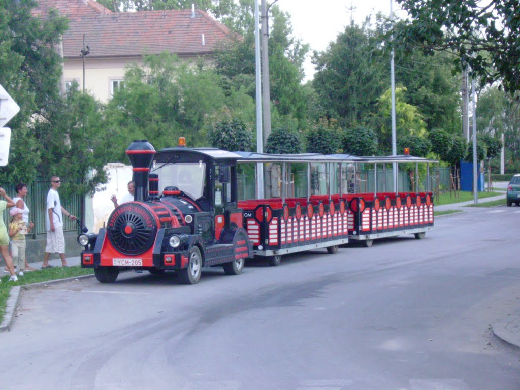 943 01 Štúrovo, Slovakia by jan laslop