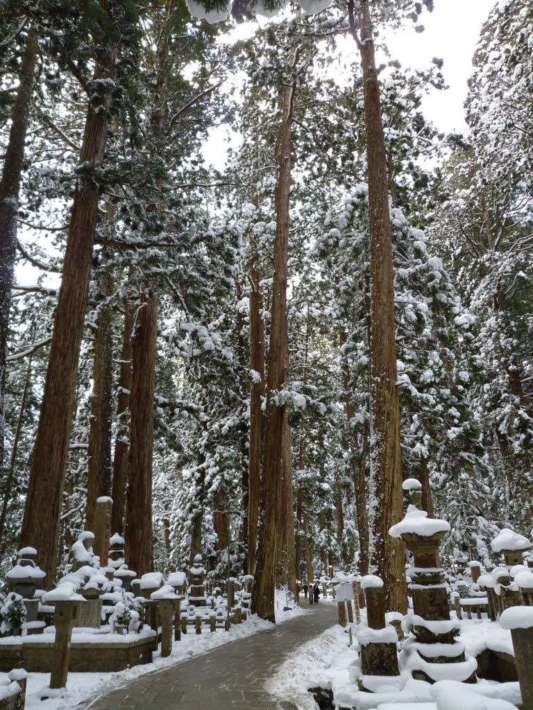 Koyasan, Koya, Ito District, Wakayama Prefecture 648-0211, Japan by jun_jun