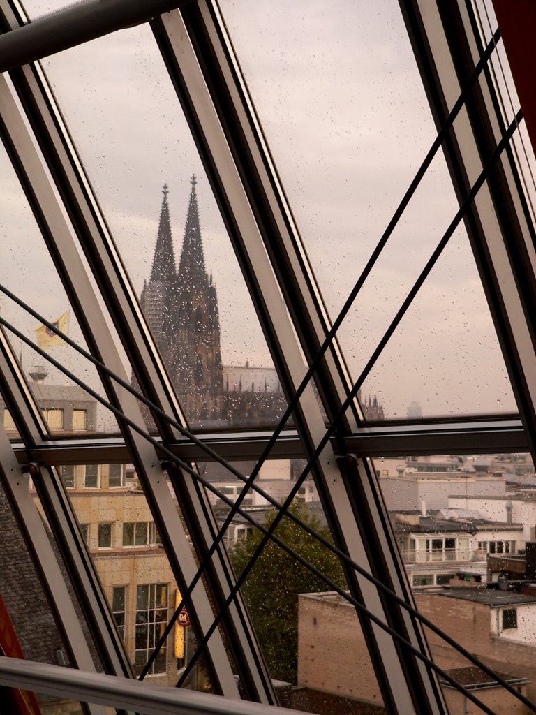 Cologne Cathedral by H.P.Meul