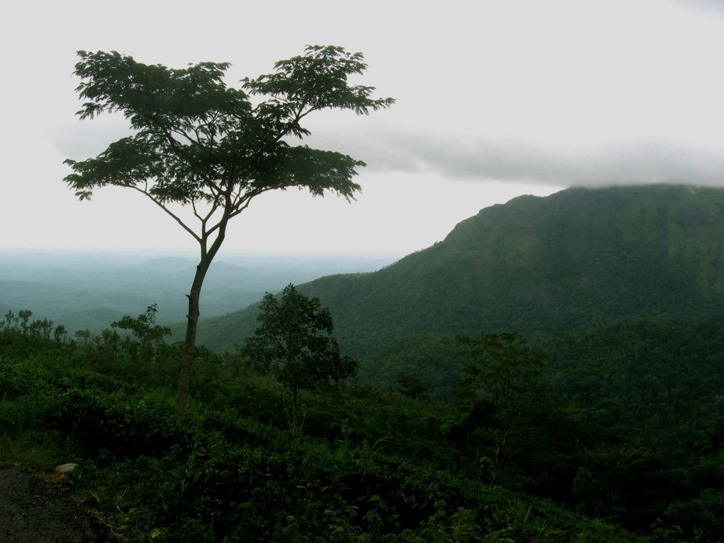 Ponmudi,60KM from Trivandrum by V S Sankar