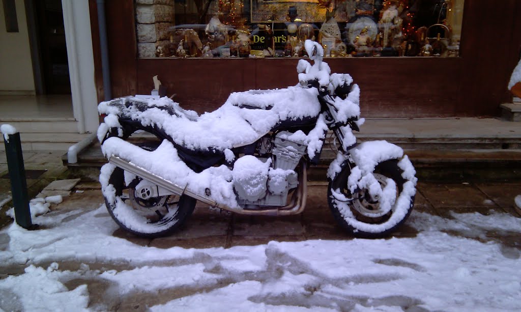 Triumph SnowWhite 750cc by shawn1968