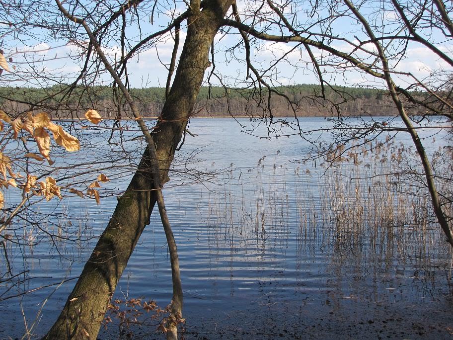 Großer Pätschsee, Mecklenburg- Vorpommern, Deutschland by iga kwiak