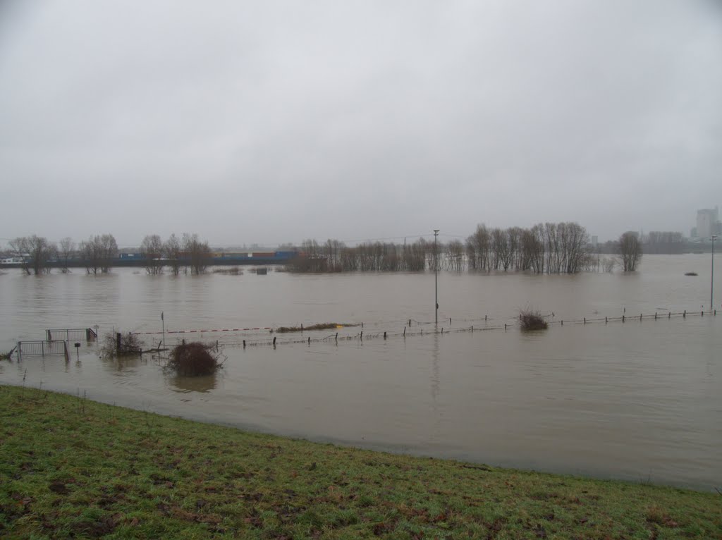 Hochwasser Januar 2011 in Orsoy by Uwe Verbarg