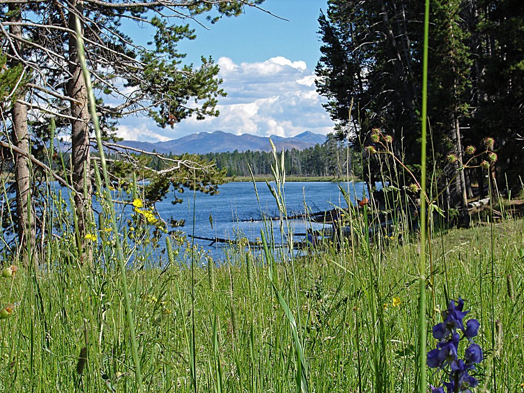 Lake View by Jay Reeve