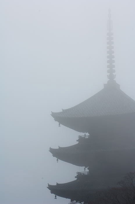 霧の東寺 by デジ鍛冶