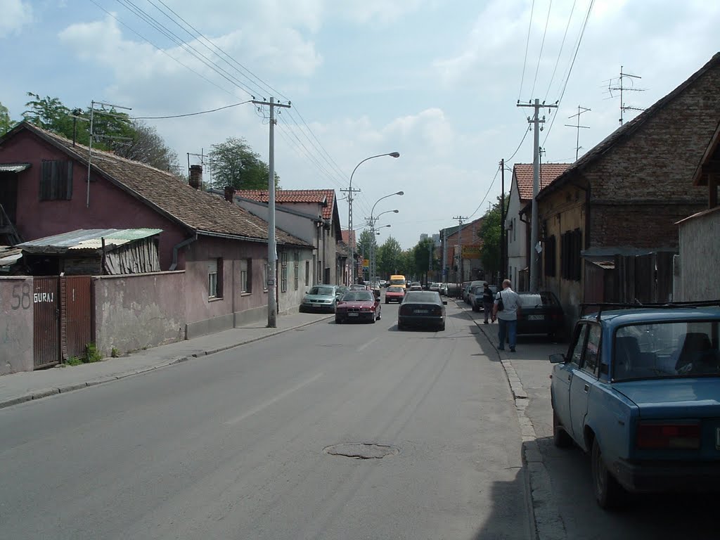 Zemun by Teča sa Dunava