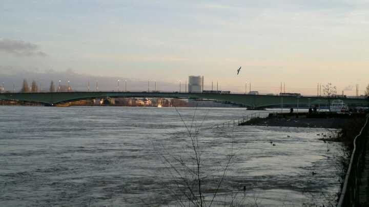 Bonn am Rhein, Hochwasser by wiko99